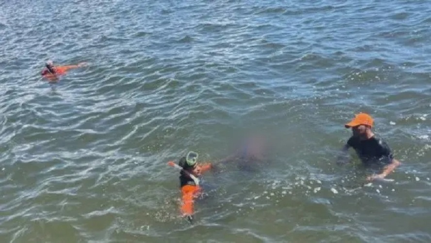 Encuentran cadáver de mujer flotando en el malecón de San Pedro Las