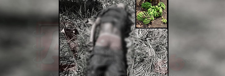 Hallan-hombre-muerto-en-finca-villa-tapia
