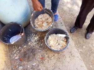 Comida botada