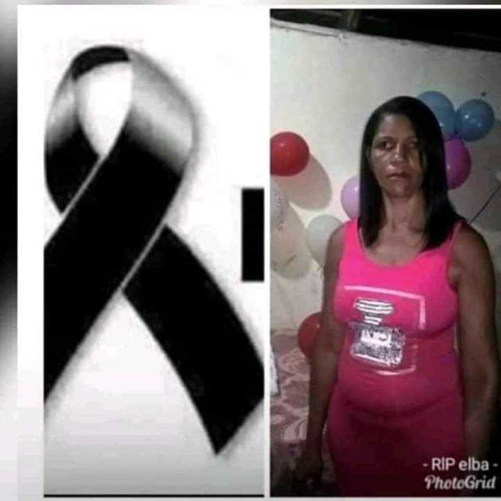 Elva de los Santos