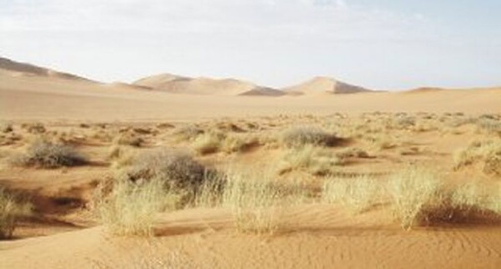 Cambio climático puede estar detrás de la mayor tormenta de polvo del Sahara