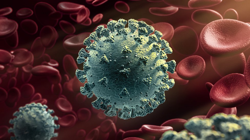 2ué se sabe de la nueva variante de coronavirus hallada en Sudáfric