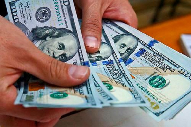 Banco Central inyectó US$6,996 millones al mercado cambiario en 2020