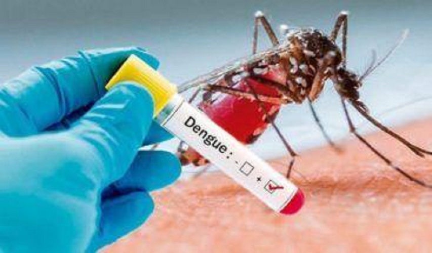 Más de mil casos y 12 defunciones por dengue en lo que va de año