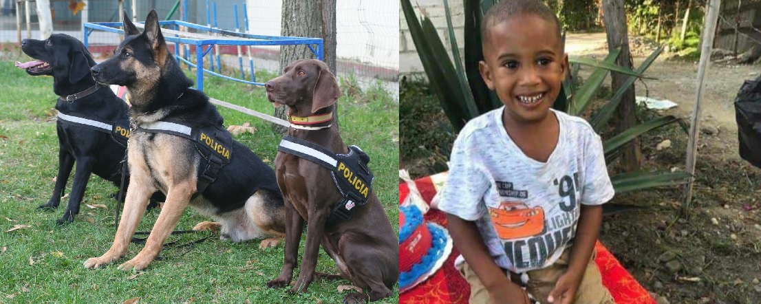Utilizarán Unidades Caninas para buscar niño desaparecido en San Juan