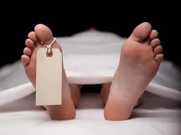 Muere niño de ocho años tras caerle árbol en La Romana