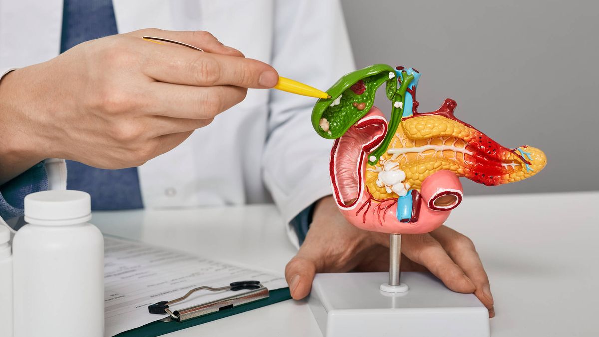 Identifican El Papel De Una Proteína Como Marcador De Pronóstico En El