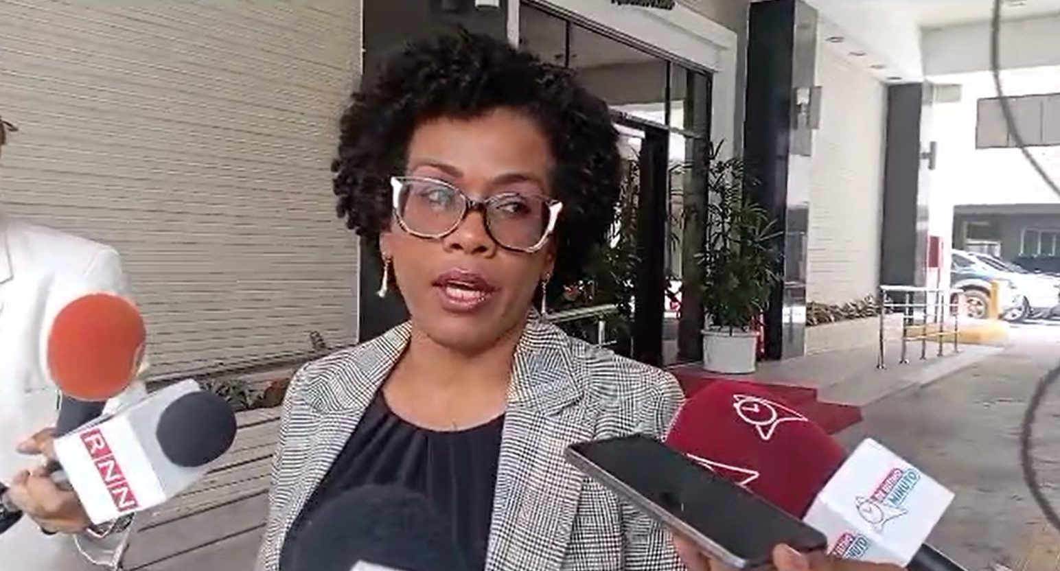 Fior Daliza Peguero Comisión de Trabajo acuerda bajar a 10 días licencia por paternidad