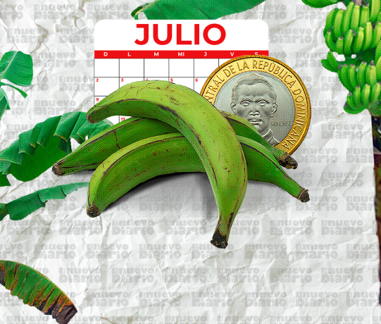 Precio del plátano verde fue inferior a otros productos en el mes de julio