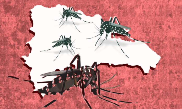 Salud Pública notifica 10 nuevos casos de malaria y uno de dengue