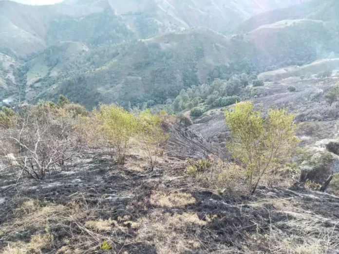 Bomberos forestales extinguen incendio en el Parque Nacional Valle Nuevo