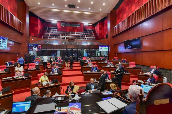 Senado aprueba que el Estado transfiera terreno de más de 12 mil m² a Inmobiliaria Reservas