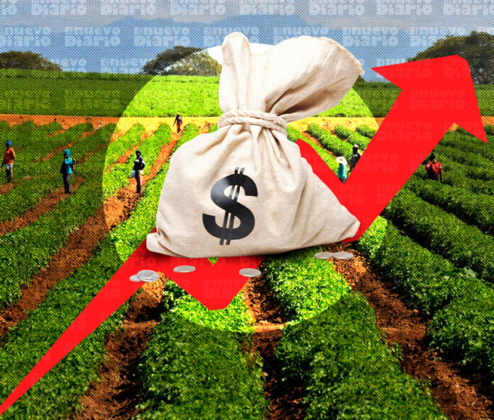 Sector agropecuario creció 3.9 % en 2025; exportaciones generaron US$3,680 millones, según Abinader
